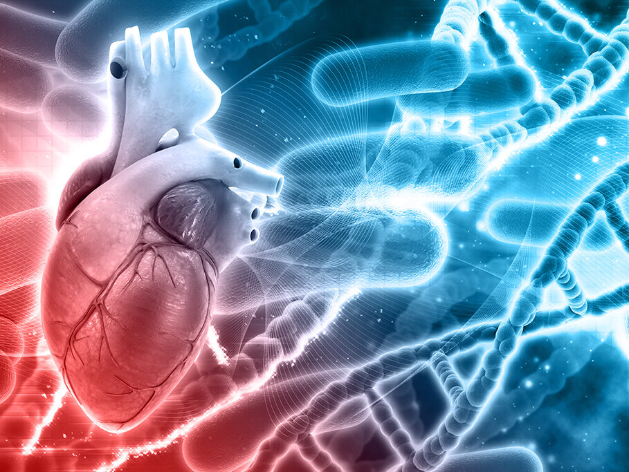 Cardio-oncologia