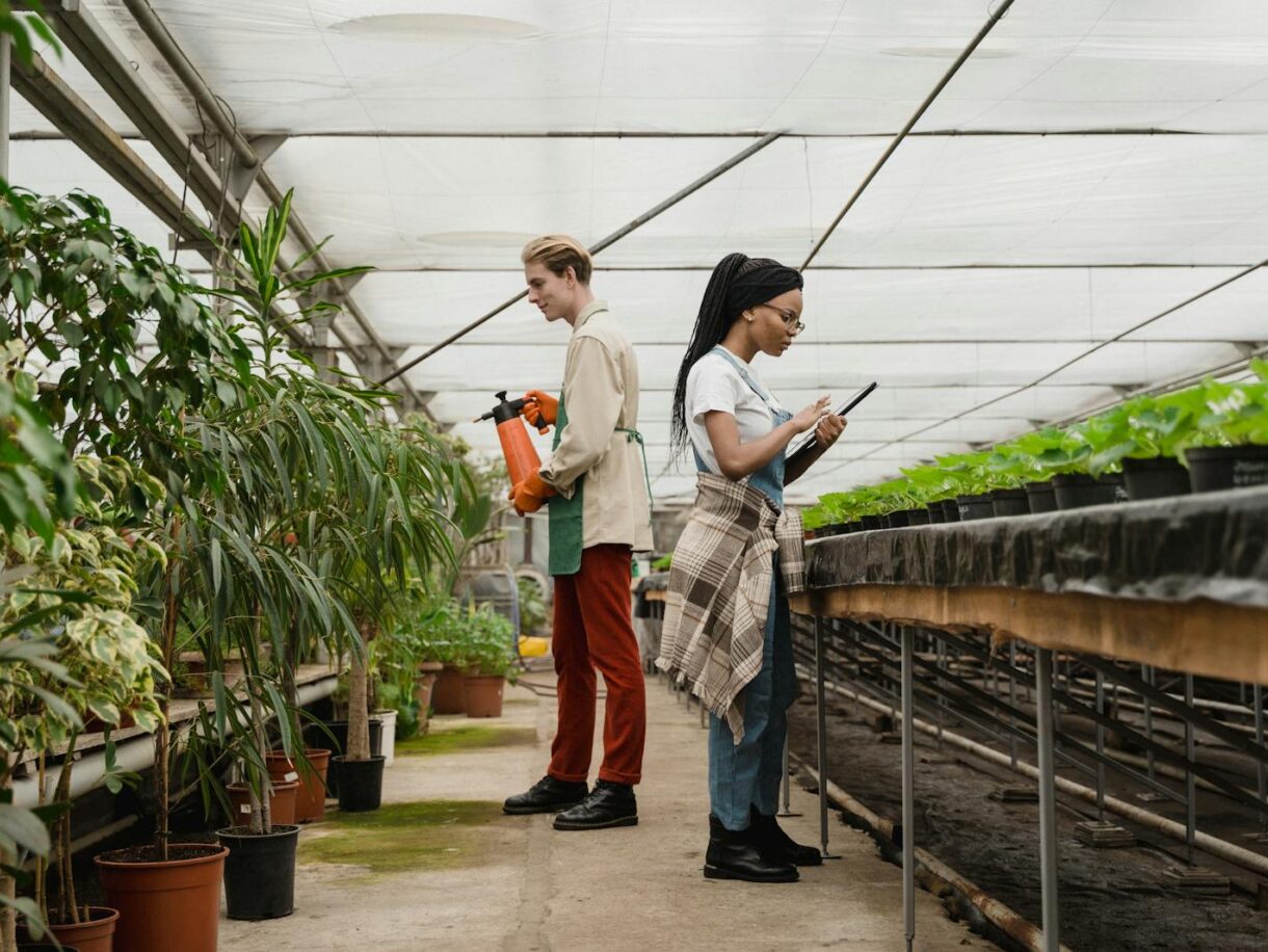 Engenharia Agronômica
