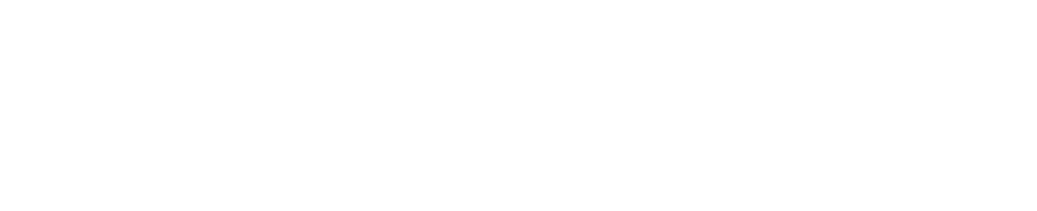 FAMEDVS
